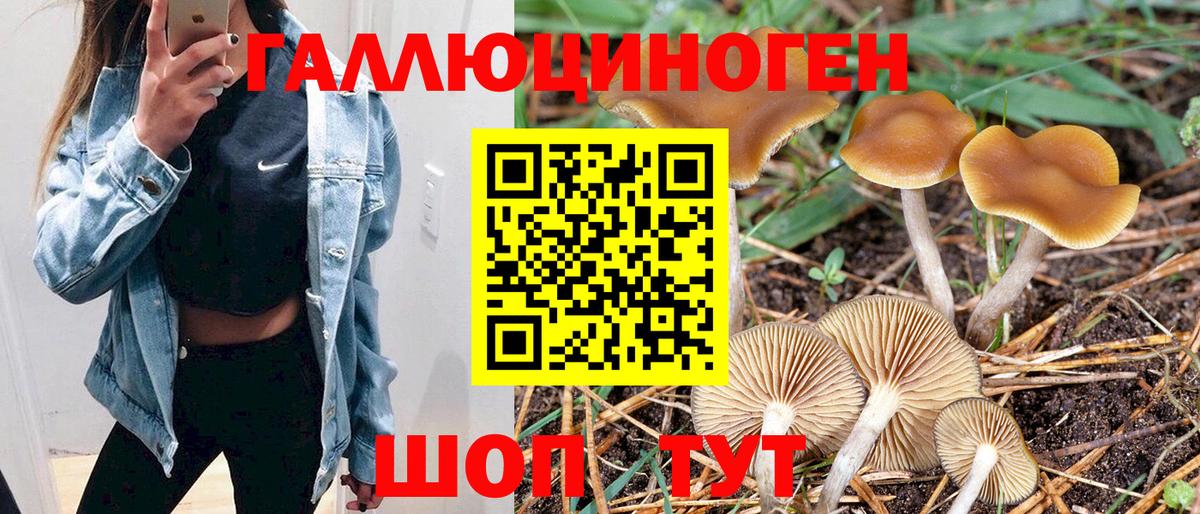 Галлюциногенные грибы Psilocybine cubensis Мытищи