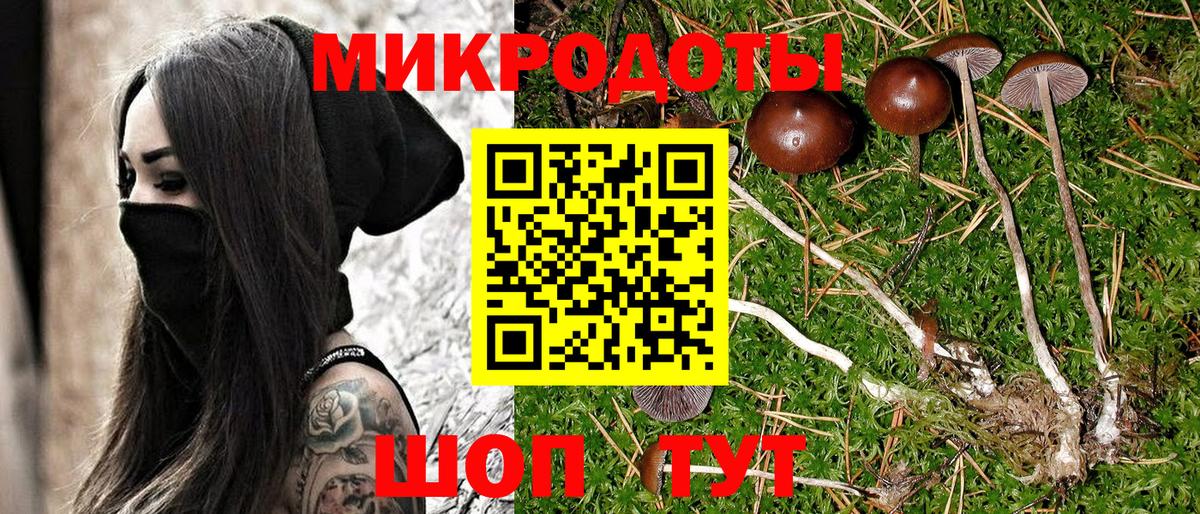 Псилоцибиновые грибы GOLDEN TEACHER  Вход с VPN  Мытищи 